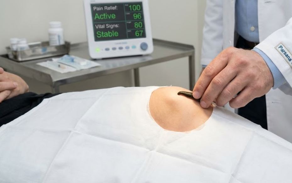 درمان درد با زالو ، زالو درمانی برای افراد مسن